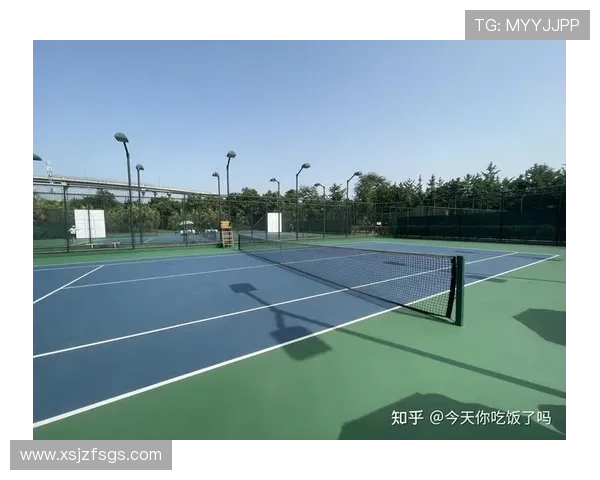 成都网球队实力对比深度解析各队优势与潜力展望